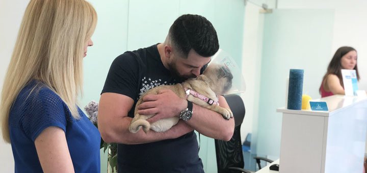 Ветеринарна допомога у центрі «Енімал-Клінік» у Києві. Звертайтеся за акцією.