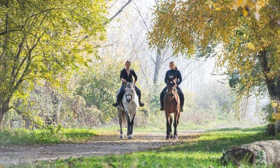 Прогулки верхом в конном клубе «Podkova» в Киеве. Бронируйте время по акции.