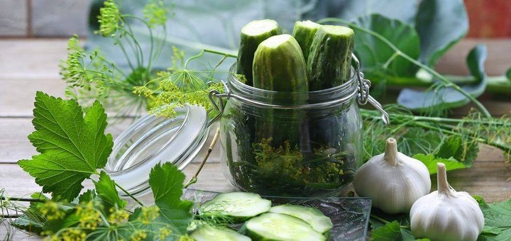 Скидки на соленья в интернет-магазине «Fermer Green»