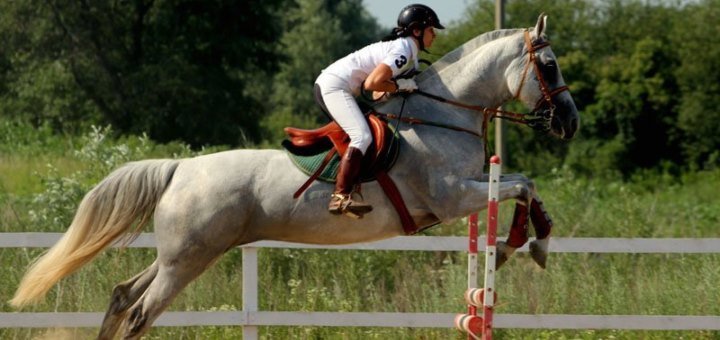 Кінний клуб «horse yard»