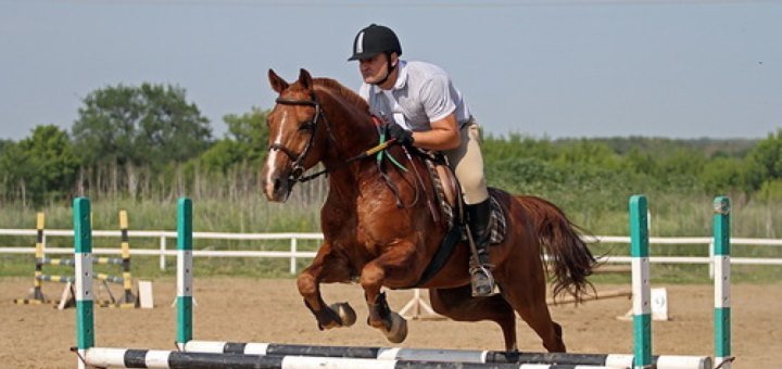 Кінний клуб «horse yard» 2