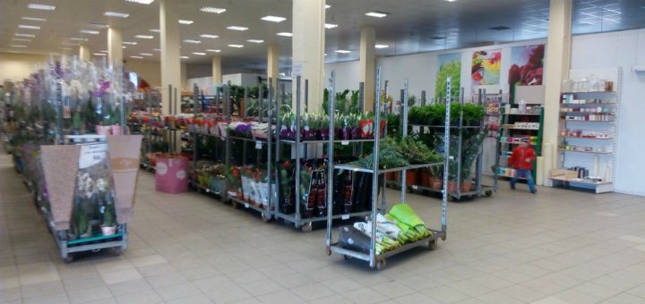 Акції склад-магазин квітів «екзотик флора»