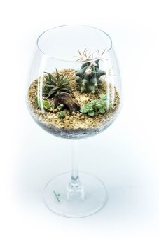 Флорариум в бокале от студии флористики и дизайна «Mini-Svit» в Киеве. Заказывайте по акции.