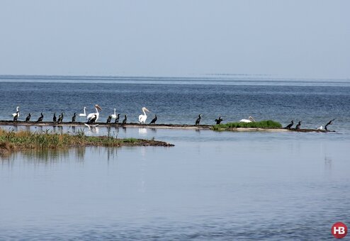 &quot;black sea biosphere reserve&quot;