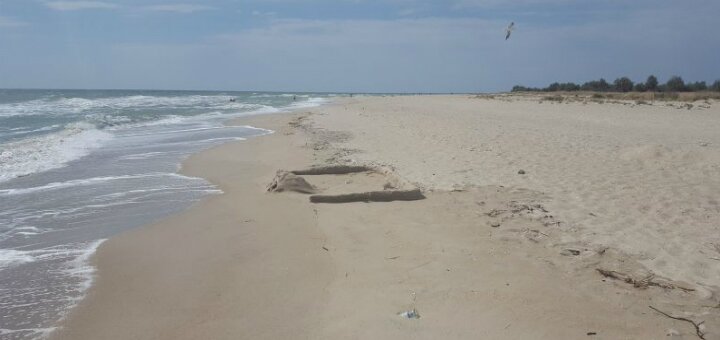 &quot;nudist beach&quot; berdyansk