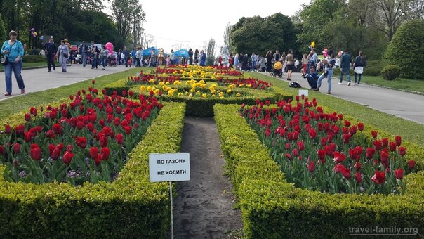 “botanical garden named after n. n. grishko »kiev