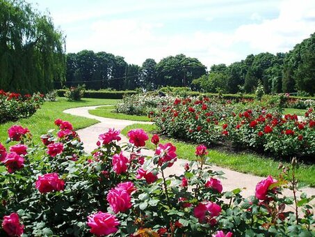 “botanical garden named after n. n. grishko »kiev