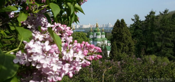 “botanical garden named after n. n. grishko »kiev