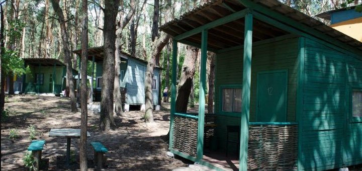 Recreation center "Green Light" in Obukhovka at a discount. Inexpensive rest near the Dnieper.