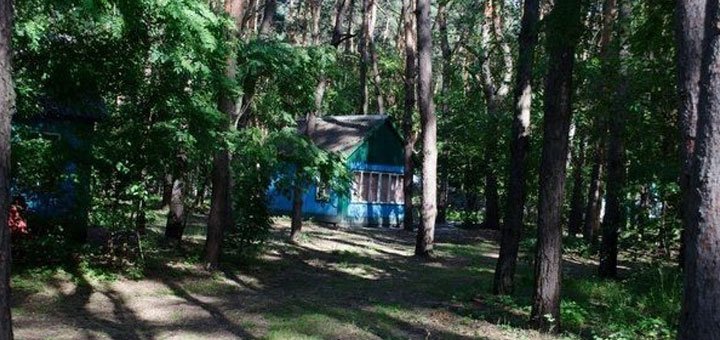 База отдыха «Зоря» в Обуховке. Недорогая база отдыха в Днепре. Недорогой отдых под днепром в Обуховке.