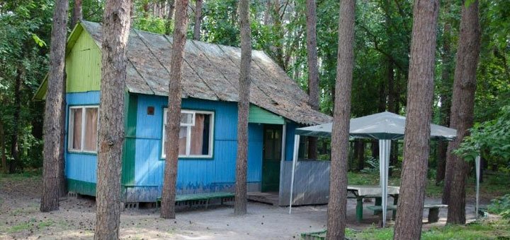 База отдыха «Зоря» в Обуховке. Недорогая база отдыха в Днепре. Недорогой отдых под днепром в Обуховке.