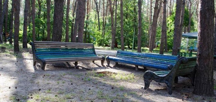База отдыха «Зоря» в Обуховке. Недорогая база отдыха в Днепре. Недорогой отдых под днепром в Обуховке.
