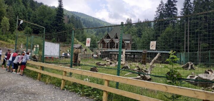 &quot;brown bear rehabilitation center&quot;