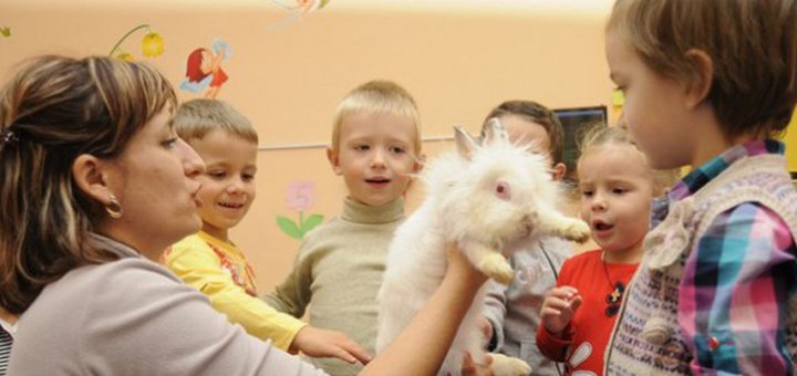 Early development center &quot;ladushka&quot; visit with a discount 3