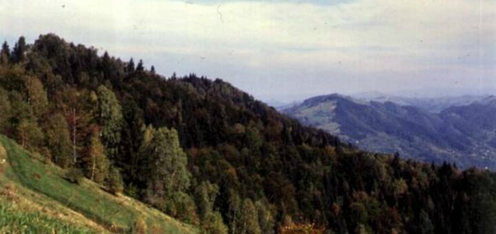 «Выжницкий национальный природный парк»