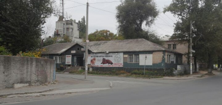 Акционное предложение в ветеринарной клинике Айболитной