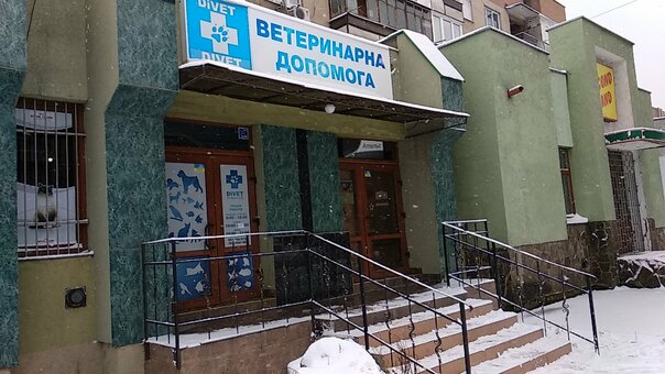 Ветеринарная клиника Divet в Ужгороде. Проходите обследование со скидкой.