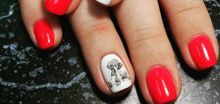 Manicure and pedicure with a discount from the master