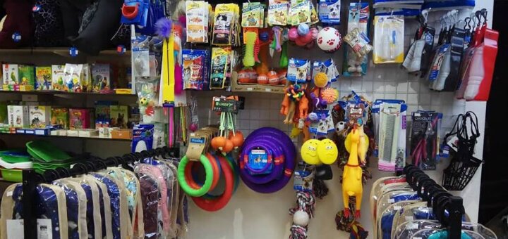Promotions pet shop &quot;zoo box&quot;