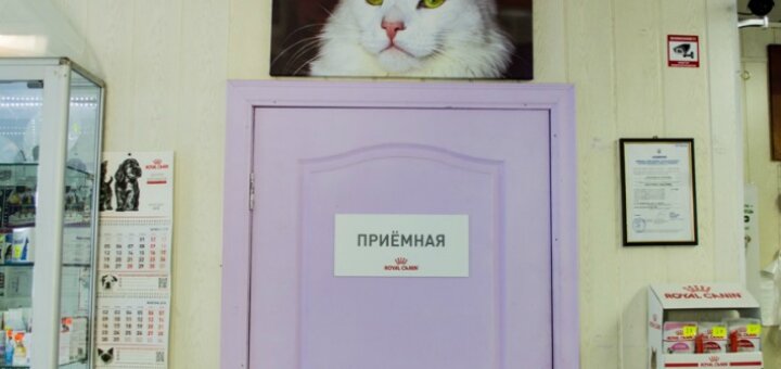 Низкие цены ветклиника , зоомагазин «Кузя»