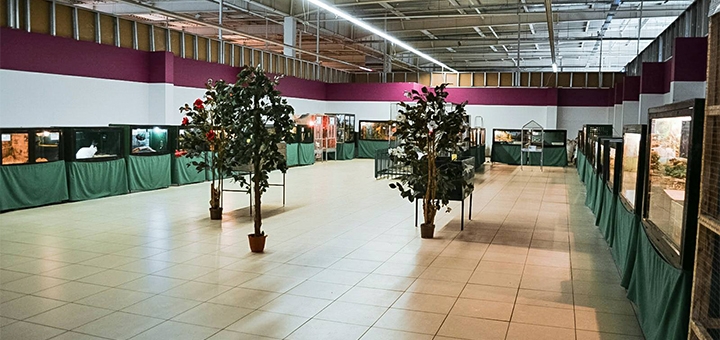 Контактный зоопарк Мир джунглей в Запорожье. Со скидкой.