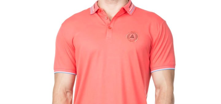 Men's t-shirts, polos and t-shirts in the online store "Peak sport". Buy sportswear at a discount.