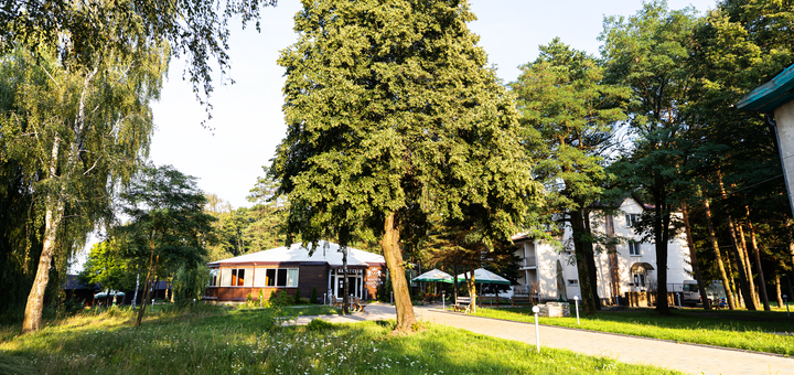 Турбаза Nester-House на Шацьких озерах. Відпочивайте по акції 18