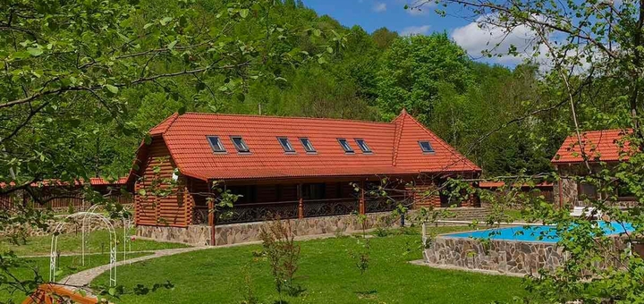 Hotel Darino in Transcarpathia. Visit for promotion 28