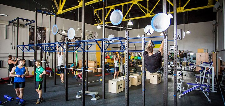 «L-fitness», абонементы по акционной стоимости 5