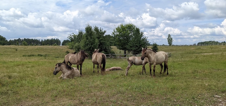 Beremitskoe Nature Park. Visit with the discount 57