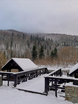 Парк-готель Svyat. Бронюйте за акцією 31