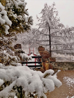 Парк-готель Svyat. Бронюйте за акцією 38