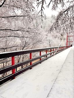 Парк-готель Svyat. Бронюйте за акцією 39