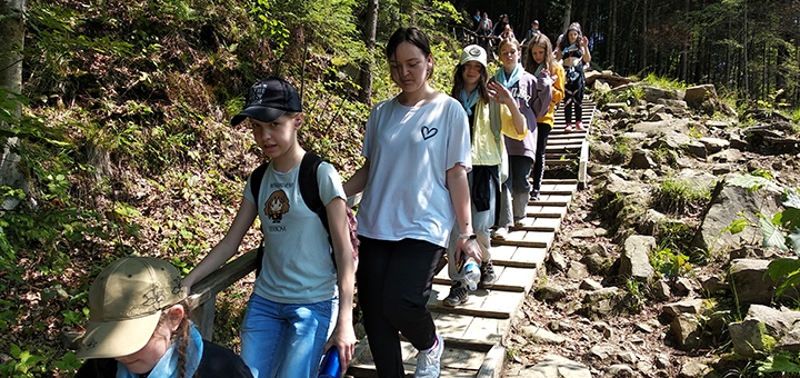 Forest Life Children's Camp. Visit with the 21% discount.