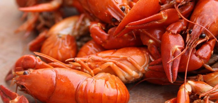 Доставка раков «Crayfish» по Киеву и Киевской области. Покупайте раков со скидкой.