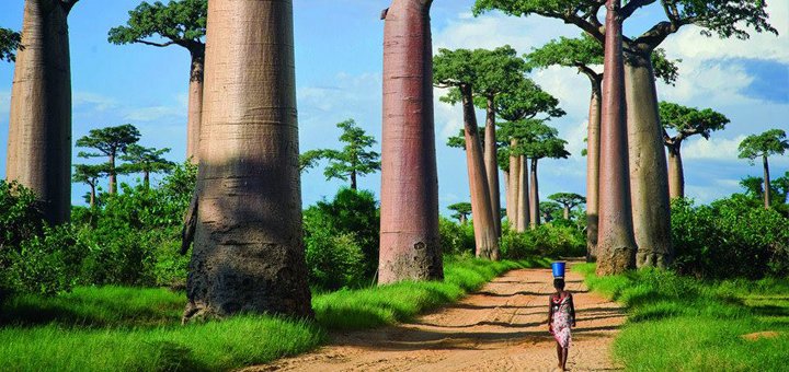 Знижки на тури в «misto.travel»