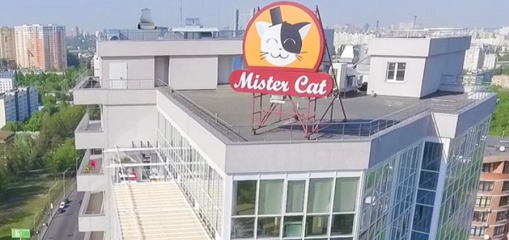 Пентхаус «Mister Cat» на ВДНХ
