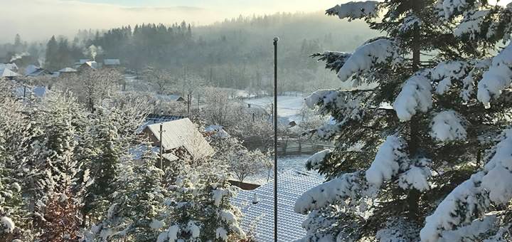 Hotel Karpatska Modrina in Migovo. Book rooms at a discount. 4