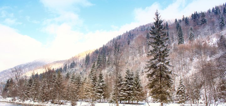 Знижки на відпочинок у готелі «Карпатська феєрія» в Пилипці7.