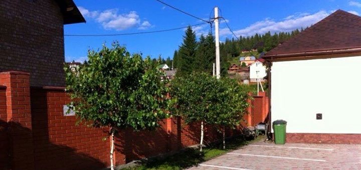 Discounts on holidays at the Kolizhanka hotel in Slavske20