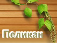 Пеликан