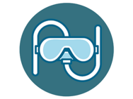 PoliDive