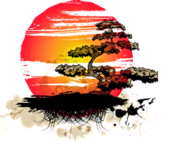 Bonsai