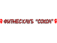 Сокол