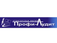Профи-Аудит