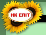 НК Элит