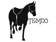 Темпо