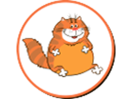 Рыжий кот