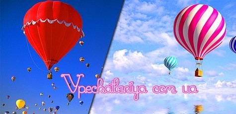 Vp-54654